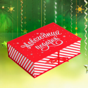 Новогодняя книга Ясна